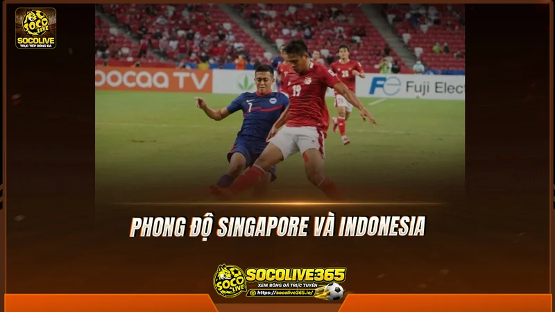 Phong độ Singapore và Indonesia được Socolive TV tổng hợp Phong độ Singapore và Indonesia được Socolive TV tổng hợp